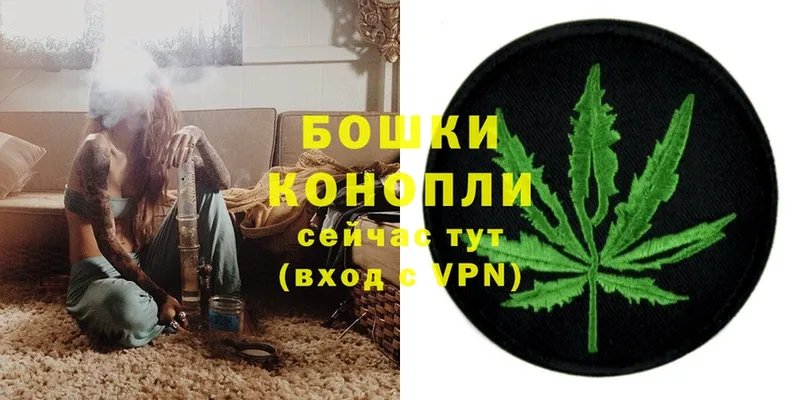 купить наркотик  Кедровый  Конопля SATIVA & INDICA 